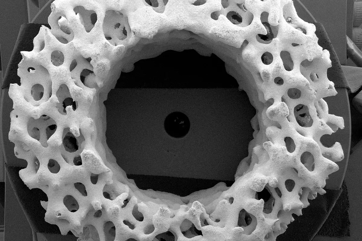 Tungsten SEM with EDX View 4